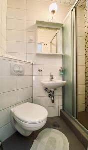 een badkamer met een toilet en een wastafel bij Komiza Provita Guesthouse in Komiža