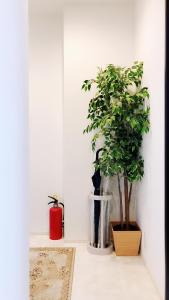 roślina w wazie siedząca obok ściany w obiekcie 竹内公寓 w mieście Ichikawa