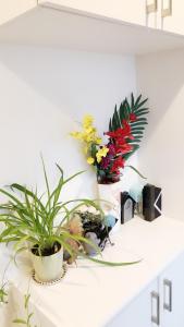 un comptoir blanc avec deux vases de fleurs sur lui dans l'établissement 竹内公寓, à Ichikawa