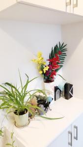 Fotografija v galeriji nastanitve 竹内公寓 v mestu Ichikawa