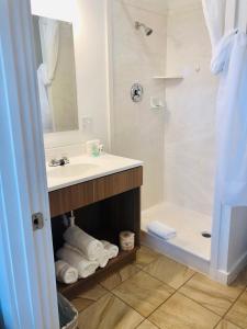 uma casa de banho com um lavatório e um chuveiro em Blue Sage Inn & Suites em Blanding