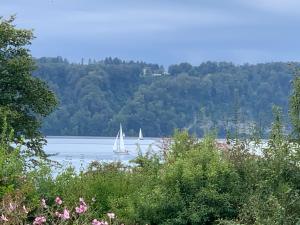 deux bateaux sur un lac avec des arbres en arrière-plan dans l'établissement Ferienwohnung Süßenmühle, à Sipplingen