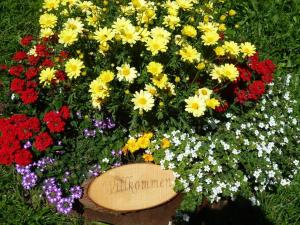 a bunch of flowers in a pot with a sign at Mascherhof in Obertilliach