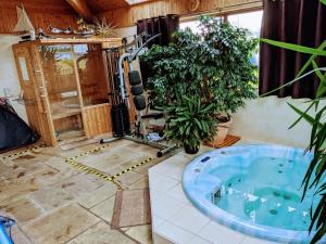 a jacuzzi tub in a room with plants at Glynvohr House in Carryduff
