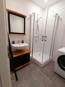 un baño con lavabo y ducha en Ferienwohnung Seebär, en Emden