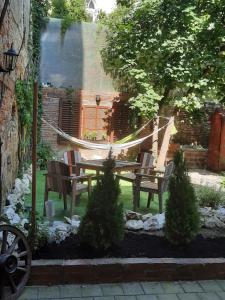 ブラショヴにあるLuky 12のハンモック、テーブル、椅子付きの庭園