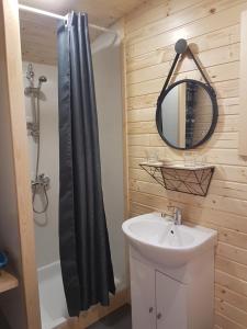 La salle de bains est pourvue d'un lavabo, d'un miroir et d'une douche. dans l'établissement Le camp du fauconnier, à La Pommeraie-sur-Sèvre