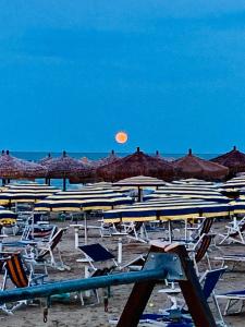 Fotografie z fotogalerie ubytování Hotel Nel Pineto v destinaci Montesilvano