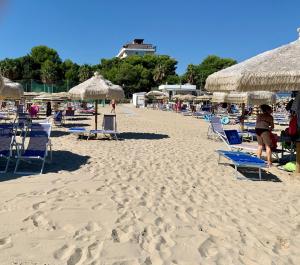 una spiaggia con sedie, ombrelloni e persone di Hotel Nel Pineto a Montesilvano