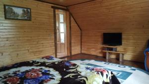 1 dormitorio con 1 cama y TV de pantalla plana en Хатина на Порташі en Tatariv