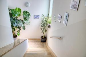 Fotografie z fotogalerie ubytování Apartment Nela v destinaci Vinkuran