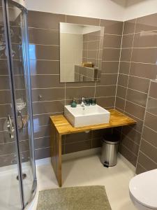 a bathroom with a sink and a shower at Čtyři pokoje in Tachov