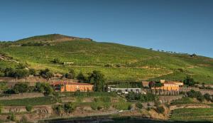 uma casa numa colina ao lado de uma montanha em Quinta do Vallado Wine Hotel em Peso da Régua