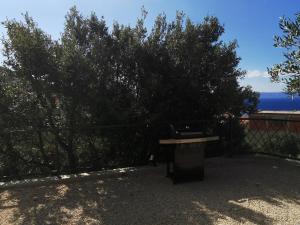 Fotografia z galérie ubytovania Villa Oleana v destinácii Makarska