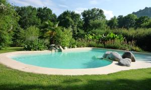 a swimming pool with rocks in a yard at Domaine Véga in Saint-Arroman