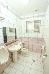 a bathroom with a toilet and a sink at 進泉莊民宿 有卡拉ok可以烤肉可以帶寵物 in Miaoli