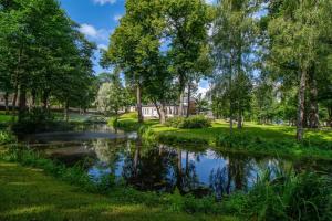 a river in a park with a house and trees at City Apartment 302 in Lovisa
