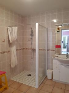 uma casa de banho com um chuveiro e um lavatório. em Village de Vie em Saint-Vaury