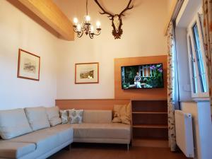 TV a/nebo společenská místnost v ubytování Villa Lilly - Luxus Appartements im Villenviertel + 37 fotografií