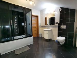 une salle de bain avec une douche, des toilettes et un lavabo dans l'établissement Apartament Dana, à Szczyrk 21 autres photos