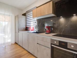 Kuchyňa alebo kuchynka v ubytovaní Villa Flora Vabriga