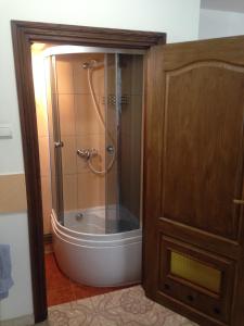 a shower with a glass door in a bathroom at Family House Nichka in Pochayiv