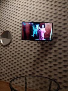 トルンにあるAPARTAMENT Młodzieżyの壁掛け式薄型テレビ