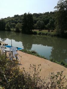 a table and chairs next to a lake with horses grazing at Caravane au bord de la rivière in Saint-Corneille +13 photos
