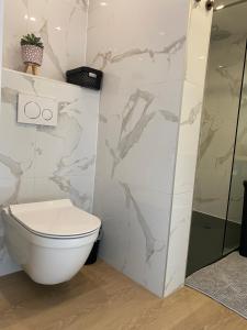a bathroom with a toilet and a shower at Style Gardenhouse Zwanenburg near AMSTERDAM, HAARLEM, ZANDVOORT in Zwanenburg +14 photos