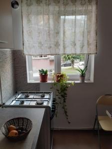 Dapur atau dapur kecil di Apartament particular