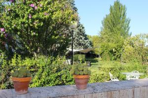 A garden outside Casa rural Villa Verde