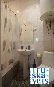 bagno con lavandino, servizi igienici e specchio di Сімейний відпочинок a Truskavec'