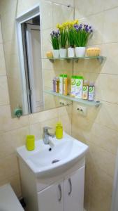 a bathroom with a sink and a mirror and flowers at Excellent Studio Apartaments in a Secure Residential Complex Comfort Town КТ-01 in Kyiv +50 photos