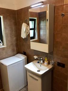 La salle de bains est pourvue d'un lavabo, de toilettes et d'un miroir. dans l'établissement Садиба Остра, à Shcherbovets