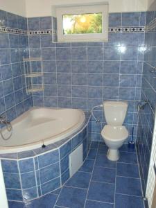フランチシュコヴィ・ラーズニェにあるApartmán Wolkrovkaの青いタイル張りのバスルーム(バスタブ、トイレ付)