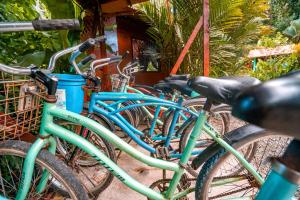 un gruppo di biciclette parcheggiate l'una accanto all'altra di Casitas Las Flores a Puerto Viejo