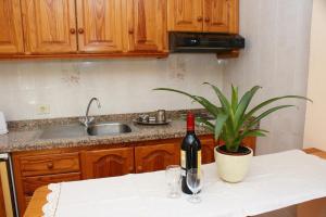 Kuchyň nebo kuchyňský kout v ubytování Apartamentos Nelly