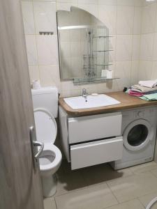 a bathroom with a toilet and a sink and a washing machine at Apartma Alja in Kranjska Gora