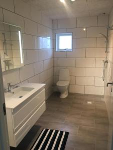 een badkamer met een wastafel, een toilet en een raam bij Emda Country living close to Legoland in Billund