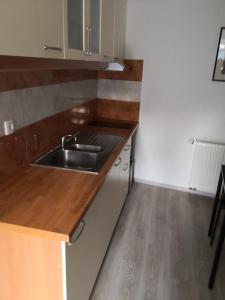 cocina con fregadero y encimera de madera en Apartma Alja en Kranjska Gora