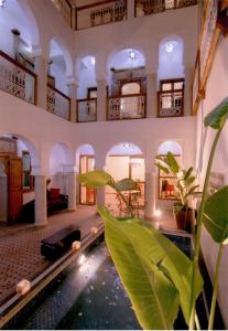 um quarto com uma piscina com uma planta em Riad Chalymar em Marrakech