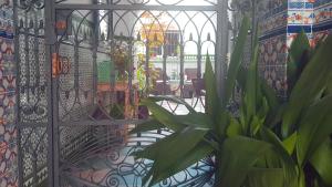 a fence with a plant in front of it at Casa Algarabía in Sanlúcar de Barrameda