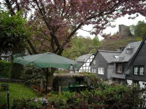 een groene paraplu in de tuin van een huis bij Hallerblick in Monschau