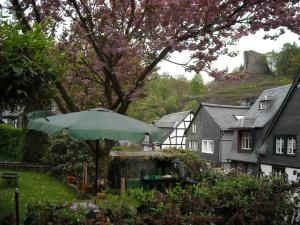 a green umbrella in the yard of a house at Hallerblick in Monschau