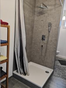 W łazience znajduje się prysznic z zasłoną prysznicową. w obiekcie Gästehäuschen „kleine Auszeit“ w mieście Greifswald