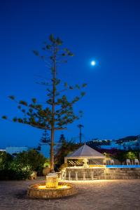 a pine tree in a park at night at Skala Hotel in Skala