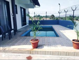 twee potplanten op een terras naast een zwembad bij Killer Villa 3 BHK in Lonavala