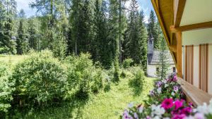 Zahrada ubytování Residence Bad Moos