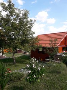 Vonkajšia záhrada v ubytovaní Mátyás Apartman