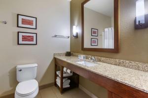 a bathroom with a toilet and a sink and a mirror at Comfort Inn & Suites Near Mt Rushmore in Hill City +33 photos